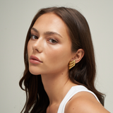 Wing Earrings